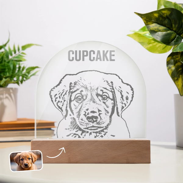 Custom Acrylic Dome Plaque - Pencil Draw