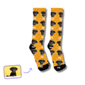 Personalized pet color socks with face cut and outline design for dog or cat lovers